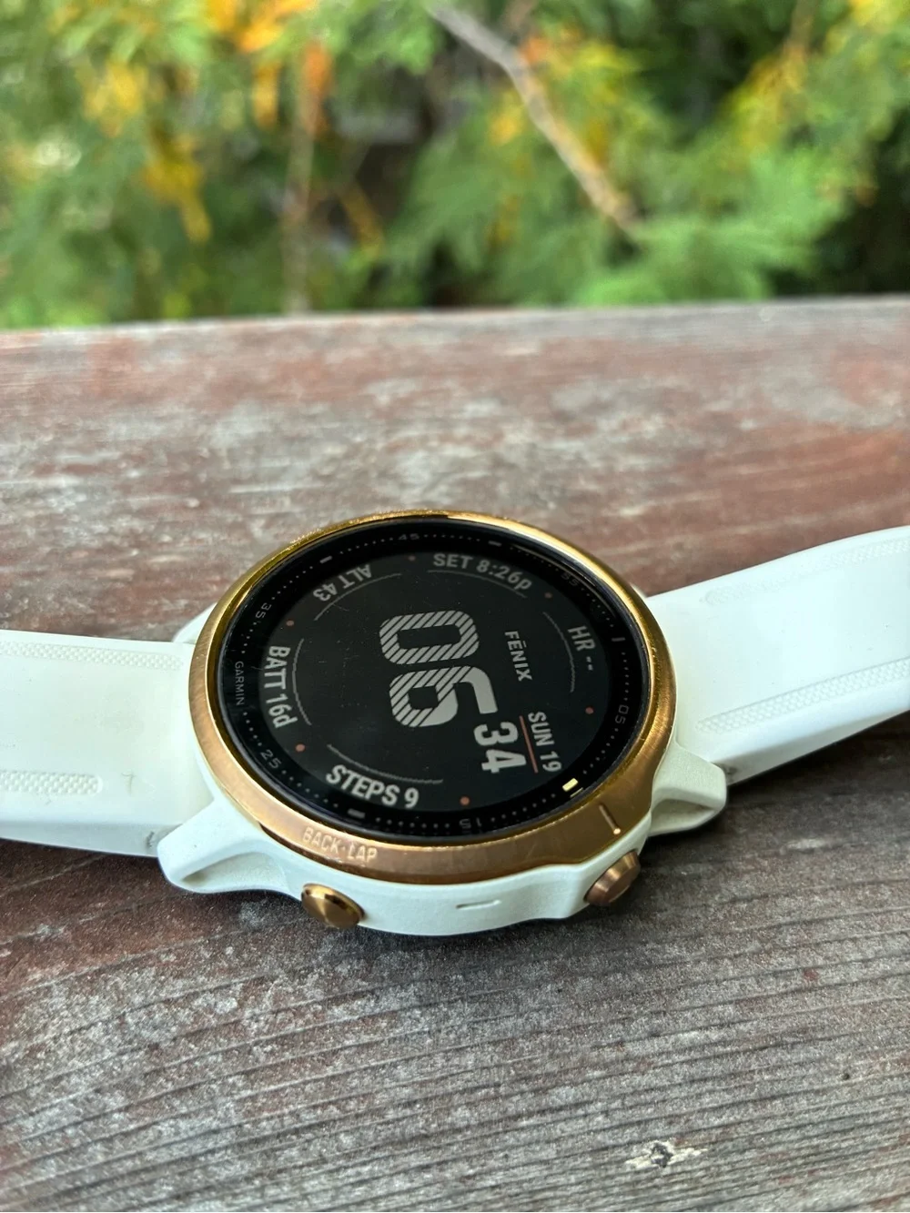 garmin fenix 6s pro smartwatch in rose gold and white
